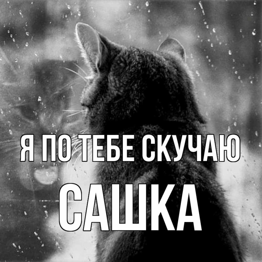 Картинка Я по тебе скучаю, Сашка