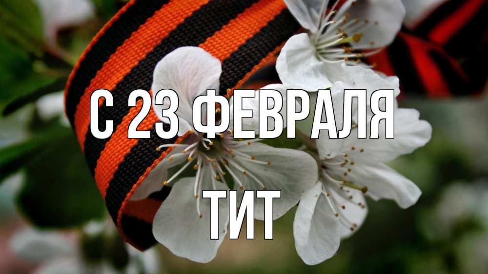 Открытка на каждый день с именем, Тит С 23 февраля 23 февраля Прикольная открытка с пожеланием онлайн скачать бесплатно 