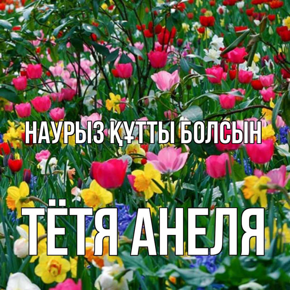 Открытка на каждый день с именем, Тётя-Анеля Наурыз құтты болсын с наурызом поздравления для женщины Прикольная открытка с пожеланием онлайн скачать бесплатно 