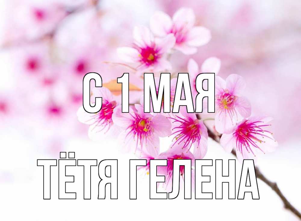Открытка на каждый день с именем, Тётя-Гелена С 1 мая С 1 мая 2 Прикольная открытка с пожеланием онлайн скачать бесплатно 