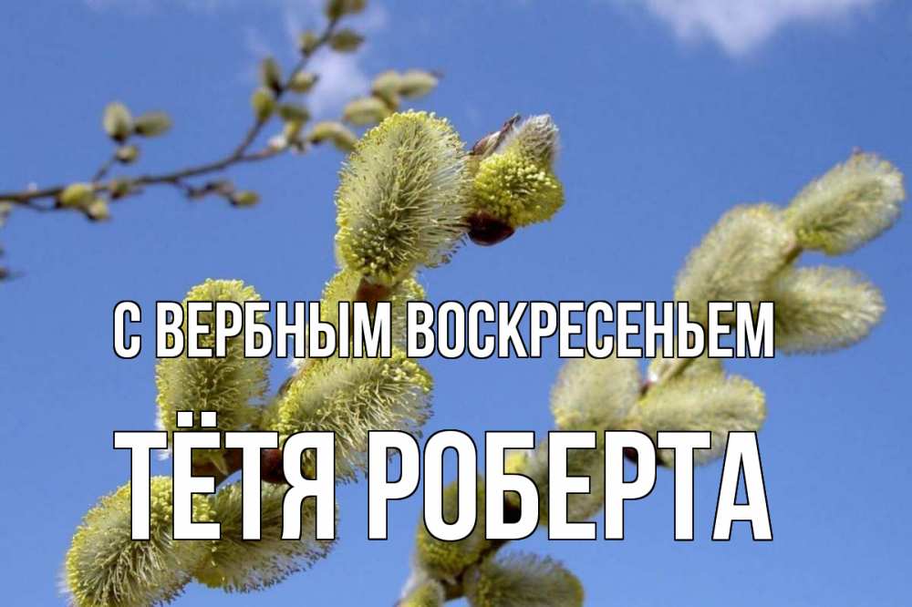 Открытка на каждый день с именем, Тётя-Роберта С вербным воскресеньем верба Прикольная открытка с пожеланием онлайн скачать бесплатно 