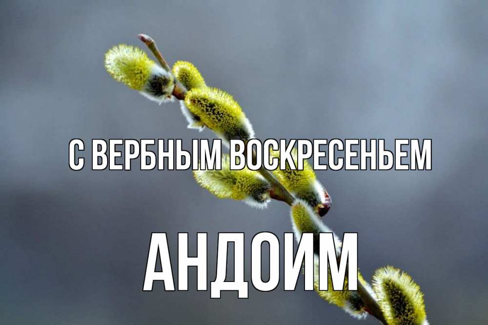 Открытка на каждый день с именем, Андоим С вербным воскресеньем верба Прикольная открытка с пожеланием онлайн скачать бесплатно 