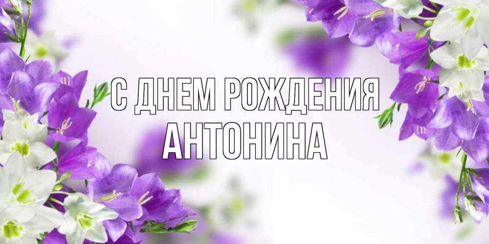 Открытка на каждый день с именем, Антонина С днем рождения открытка на день рождения с сиреневыми цветами Прикольная открытка с пожеланием онлайн скачать бесплатно 