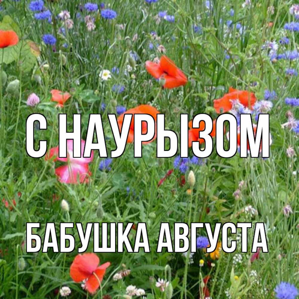 Открытка на каждый день с именем, Бабушка-Августа С наурызом праздник весны наурыз супер открытка Прикольная открытка с пожеланием онлайн скачать бесплатно 