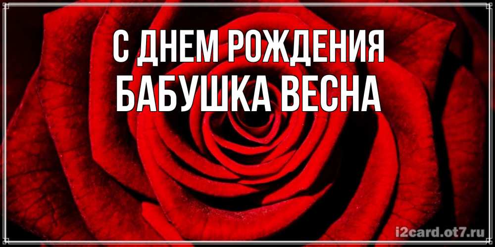 Открытка на каждый день с именем, Бабушка-Весна С днем рождения алая роза Прикольная открытка с пожеланием онлайн скачать бесплатно 