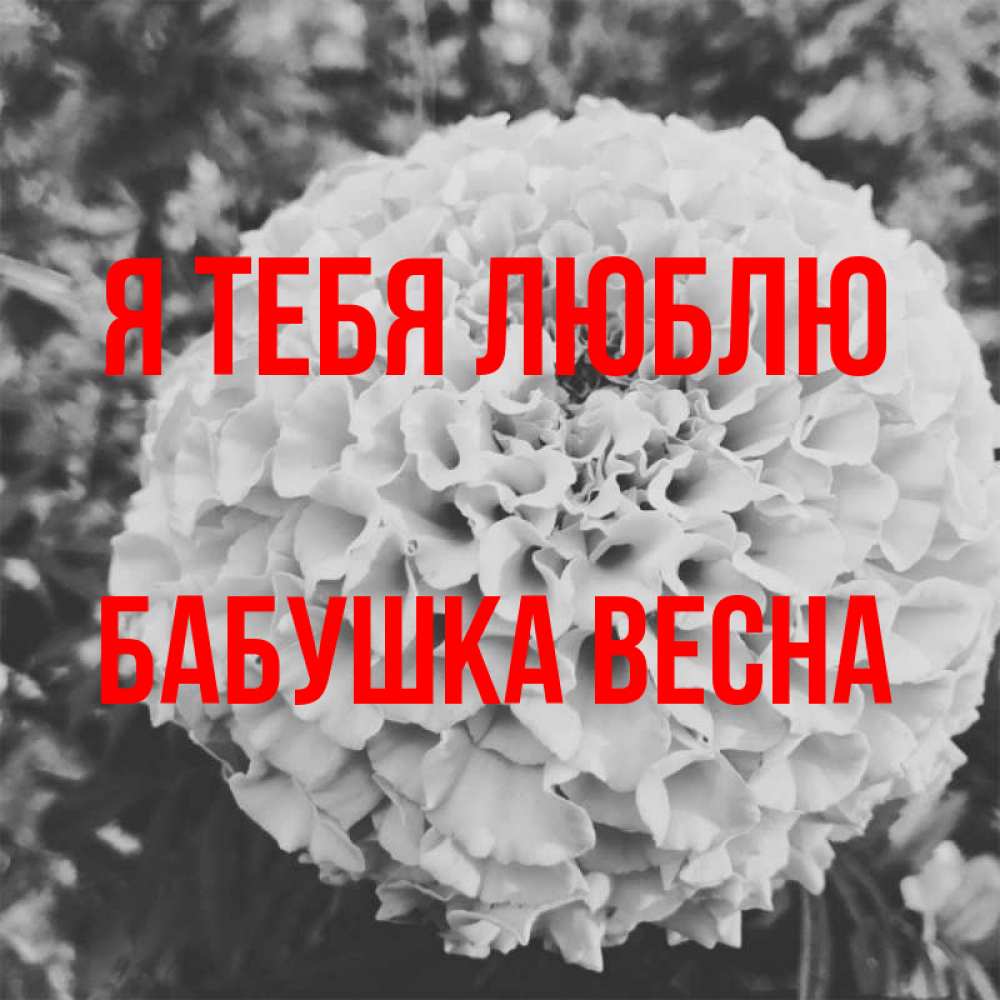 Открытка на каждый день с именем, Бабушка-Весна Я тебя люблю подпись Прикольная открытка с пожеланием онлайн скачать бесплатно 