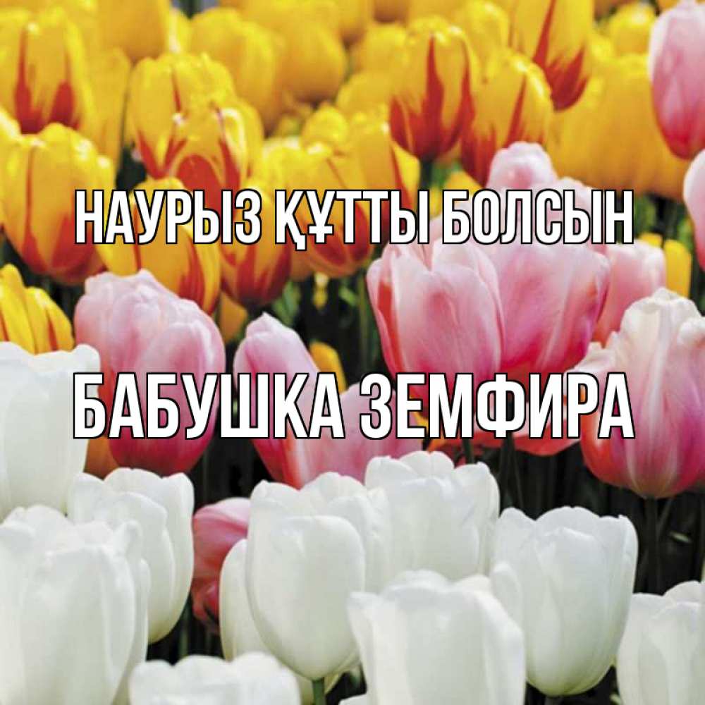 Открытка на каждый день с именем, Бабушка-Земфира Наурыз құтты болсын разноцветные цветы Прикольная открытка с пожеланием онлайн скачать бесплатно 