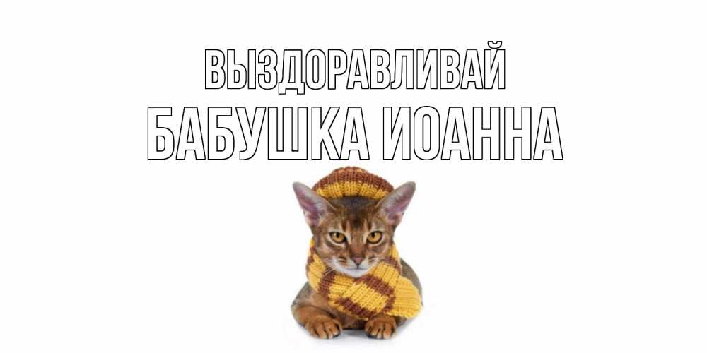 Открытка на каждый день с именем, Бабушка-Иоанна Выздоравливай родные не болейте Прикольная открытка с пожеланием онлайн скачать бесплатно 
