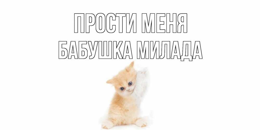 Открытка на каждый день с именем, Бабушка-Милада Прости меня кот Прикольная открытка с пожеланием онлайн скачать бесплатно 
