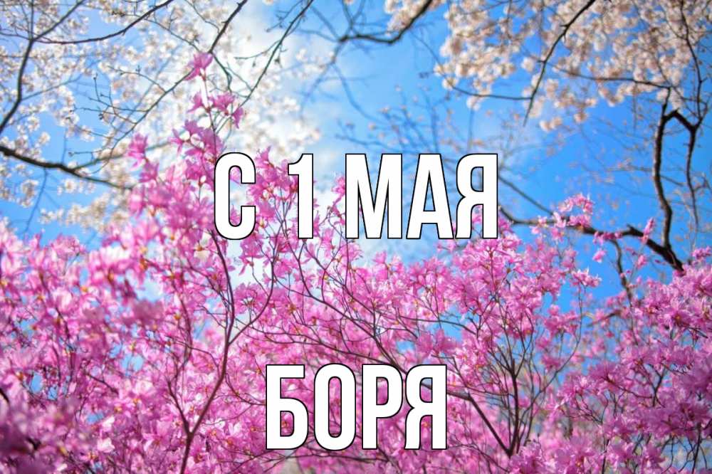 Открытка на каждый день с именем, Боря С 1 мая С 1 мая Прикольная открытка с пожеланием онлайн скачать бесплатно 