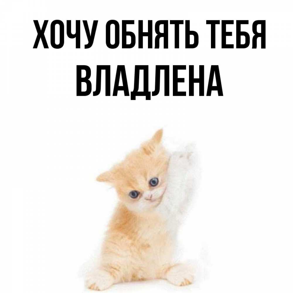 Открытка на каждый день с именем, Владлена Хочу обнять тебя я хочу очень скорее обнимаешек Прикольная открытка с пожеланием онлайн скачать бесплатно 
