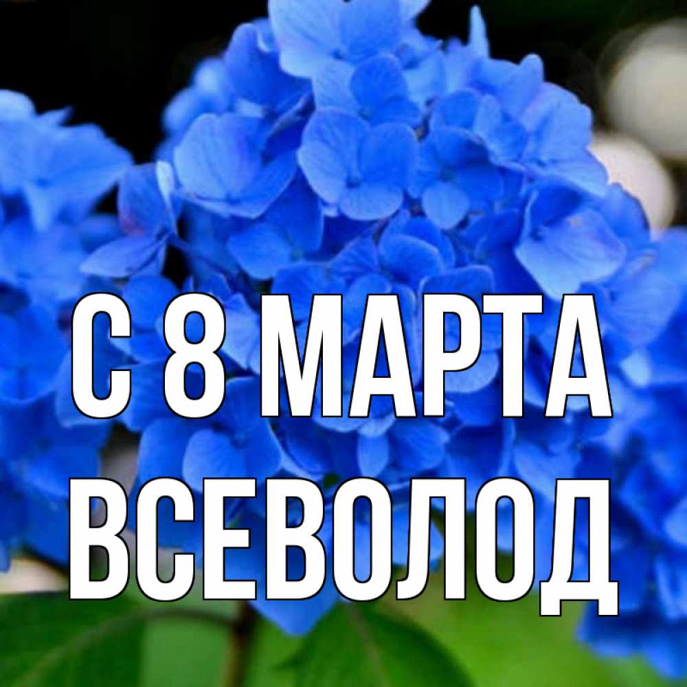 Открытка на каждый день с именем, Всеволод С 8 МАРТА синие цветы Прикольная открытка с пожеланием онлайн скачать бесплатно 