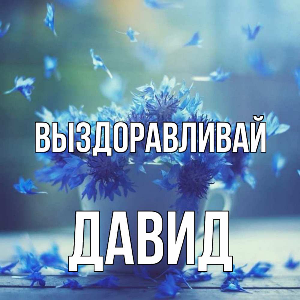 Открытка на каждый день с именем, Давид Выздоравливай кружка с зельем и цветами Прикольная открытка с пожеланием онлайн скачать бесплатно 