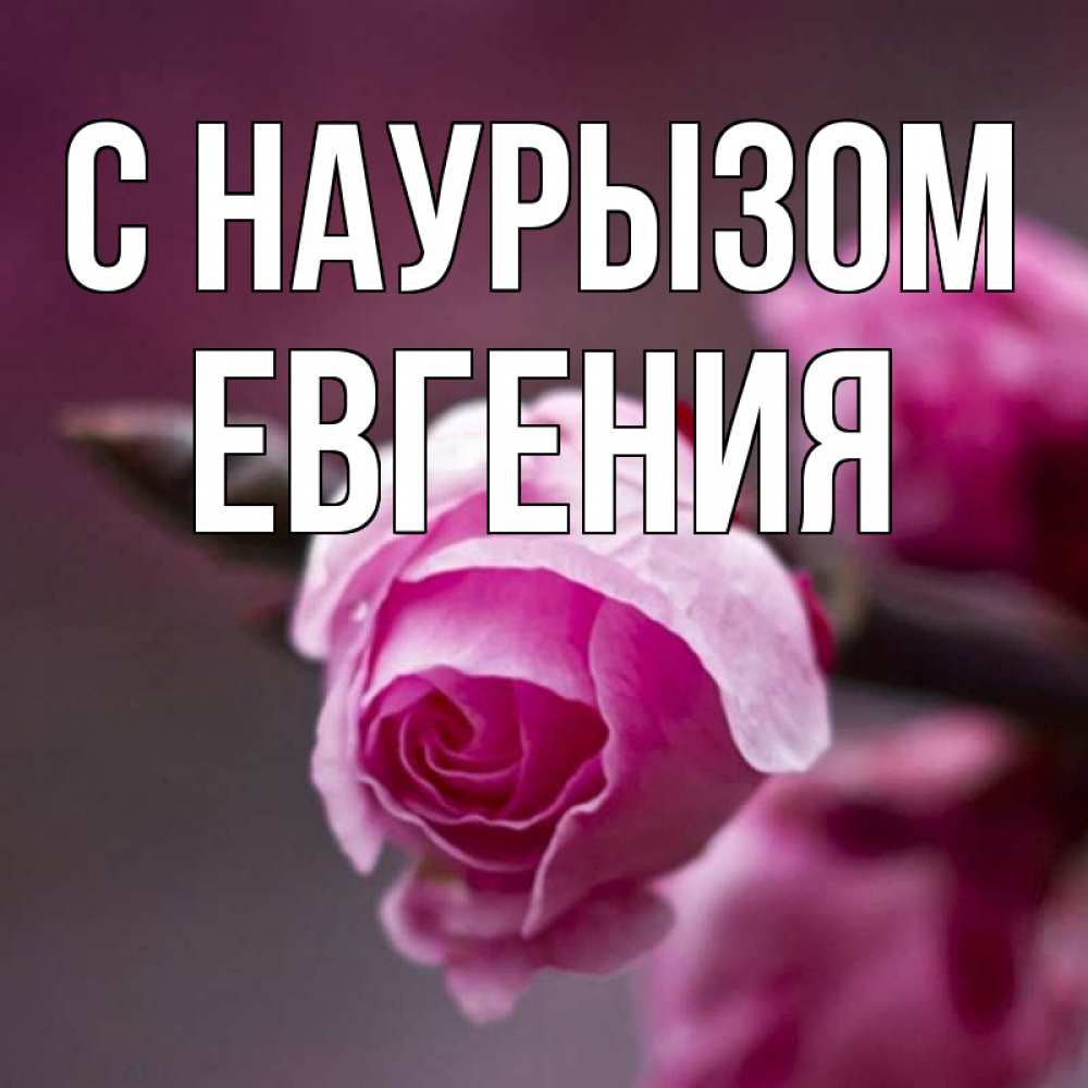 Открытка на каждый день с именем, Евгения С наурызом весна Прикольная открытка с пожеланием онлайн скачать бесплатно 
