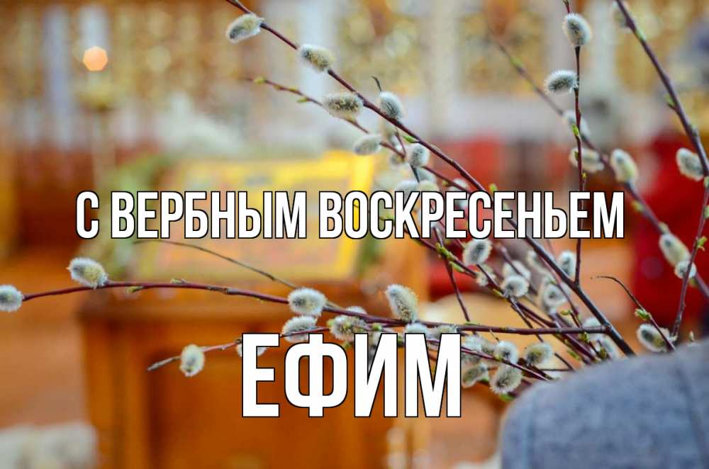 Открытка на каждый день с именем, Ефим С вербным воскресеньем верба Прикольная открытка с пожеланием онлайн скачать бесплатно 