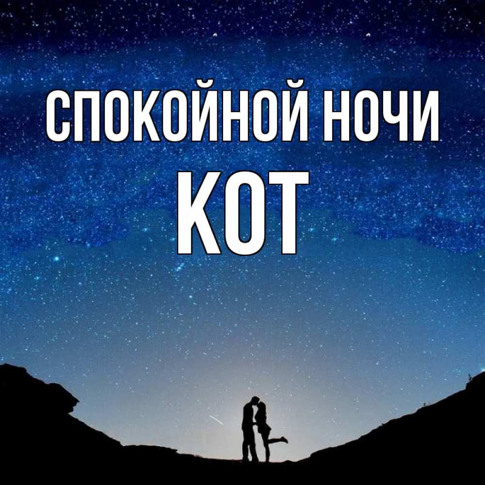 Открытка на каждый день с именем, Кот Спокойной ночи звездное небо и люди Прикольная открытка с пожеланием онлайн скачать бесплатно 