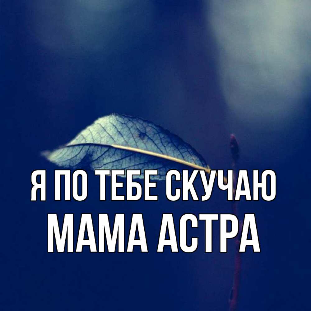 Открытка на каждый день с именем, Мама-Астра Я по тебе скучаю одна ветка 1 Прикольная открытка с пожеланием онлайн скачать бесплатно 