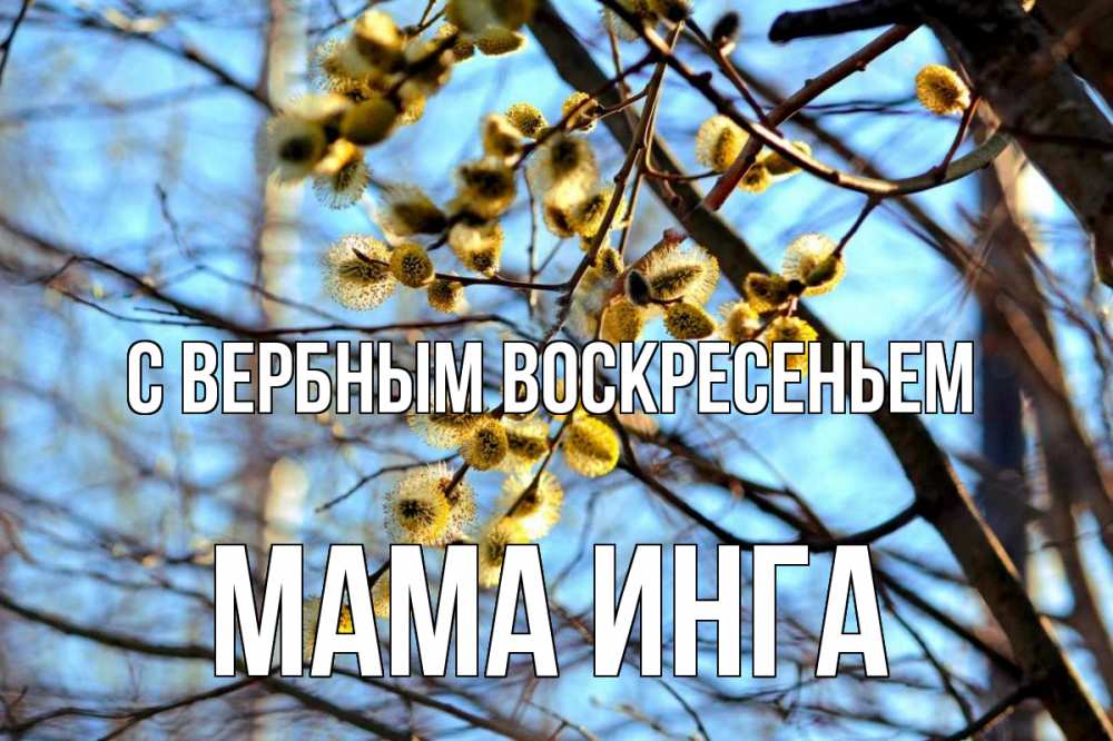 Открытка на каждый день с именем, Мама-Инга С вербным воскресеньем верба Прикольная открытка с пожеланием онлайн скачать бесплатно 
