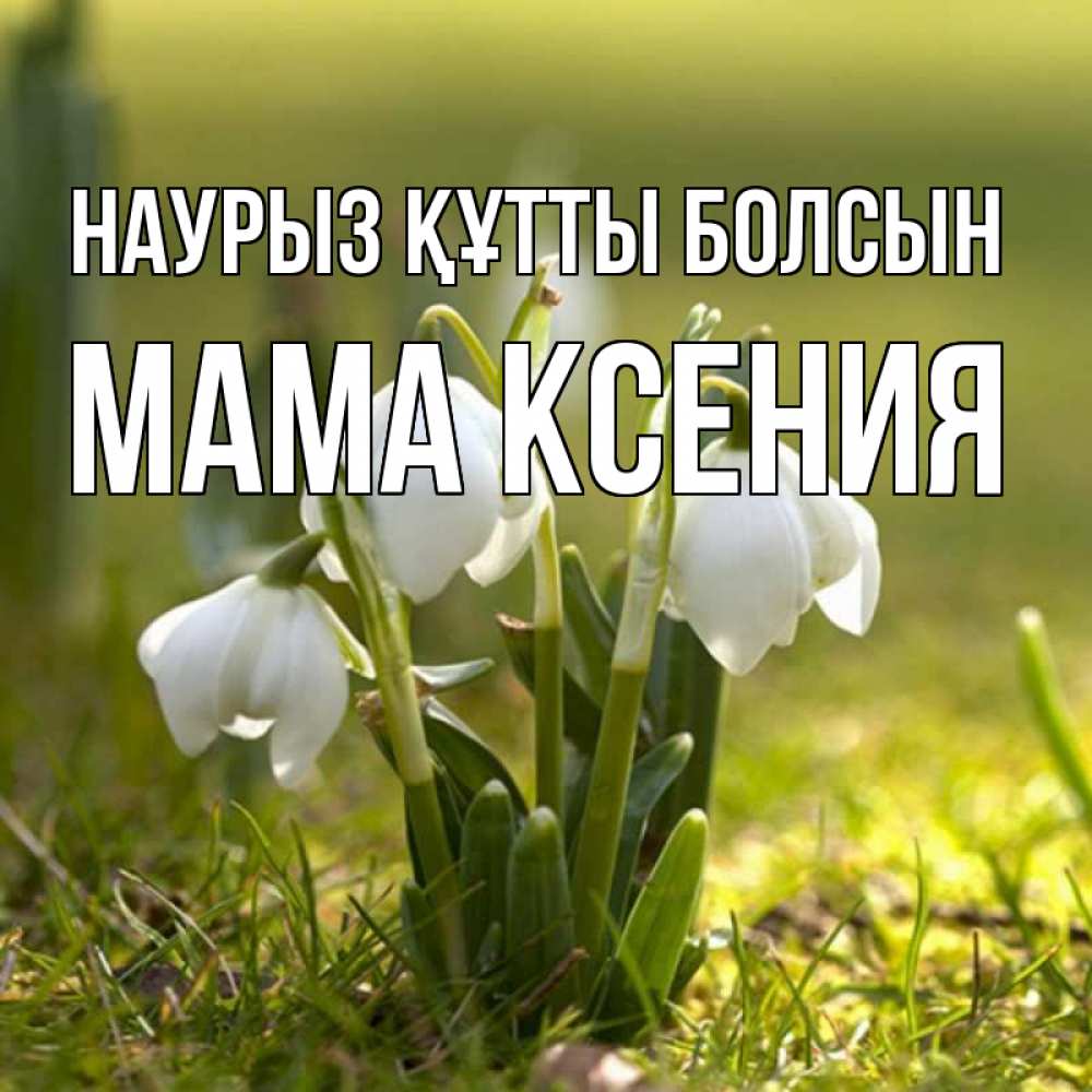 Открытка на каждый день с именем, Мама-Ксения Наурыз құтты болсын ранние цветы 2 Прикольная открытка с пожеланием онлайн скачать бесплатно 