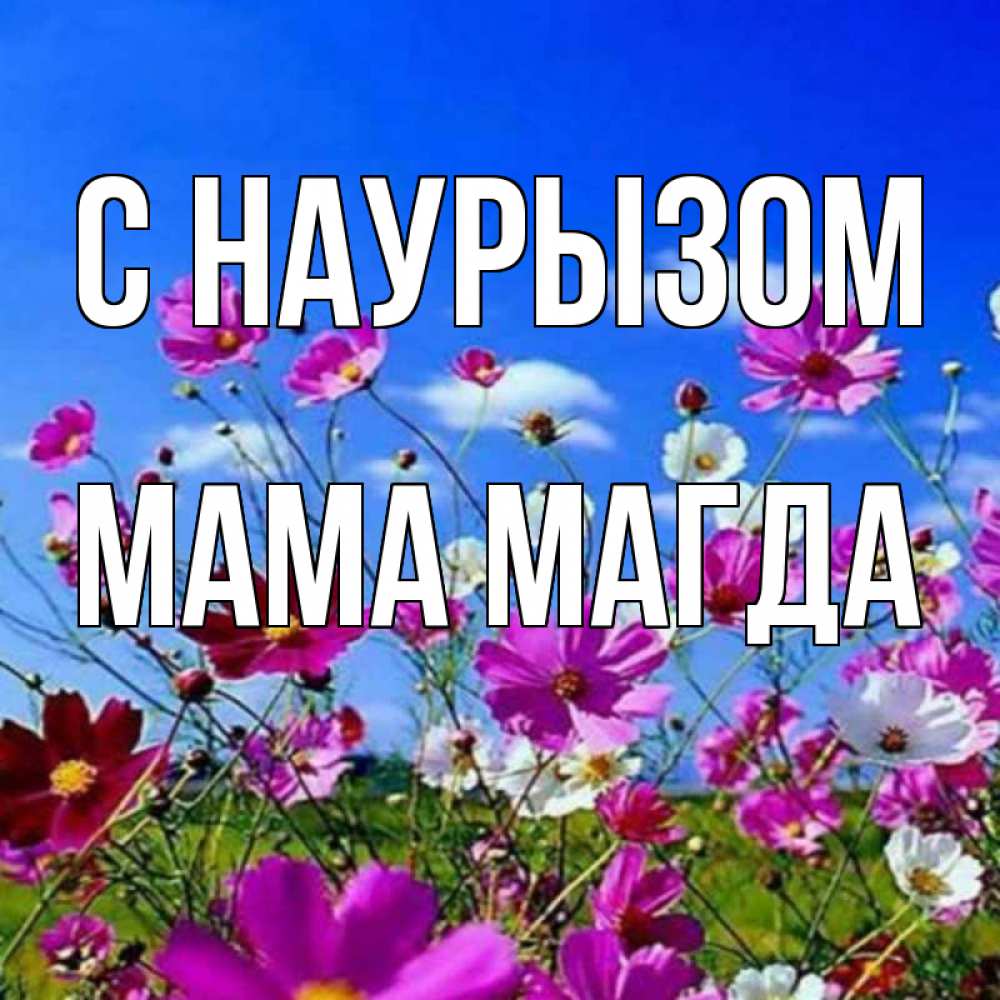 Открытка на каждый день с именем, Мама-Магда С наурызом цветы Прикольная открытка с пожеланием онлайн скачать бесплатно 
