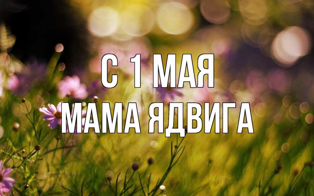 Открытка на каждый день с именем, Мама-Ядвига С 1 мая С 1 мая Прикольная открытка с пожеланием онлайн скачать бесплатно 