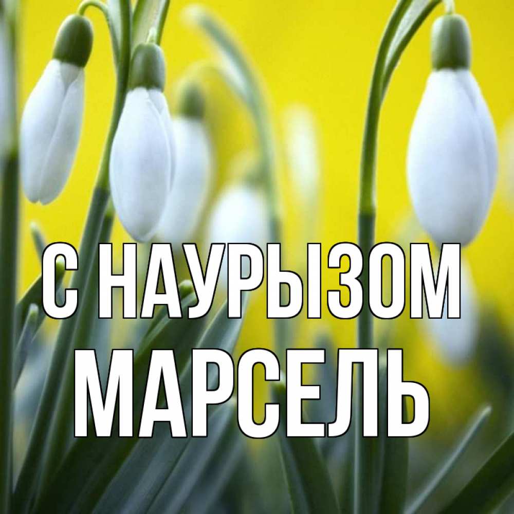 Открытка на каждый день с именем, Марсель С наурызом весенние цветы Прикольная открытка с пожеланием онлайн скачать бесплатно 