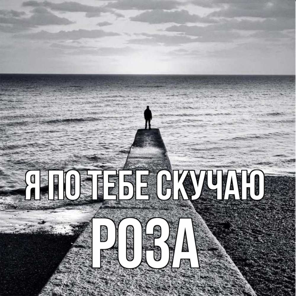 Открытка на каждый день с именем, Роза Я по тебе скучаю скучашки Прикольная открытка с пожеланием онлайн скачать бесплатно 