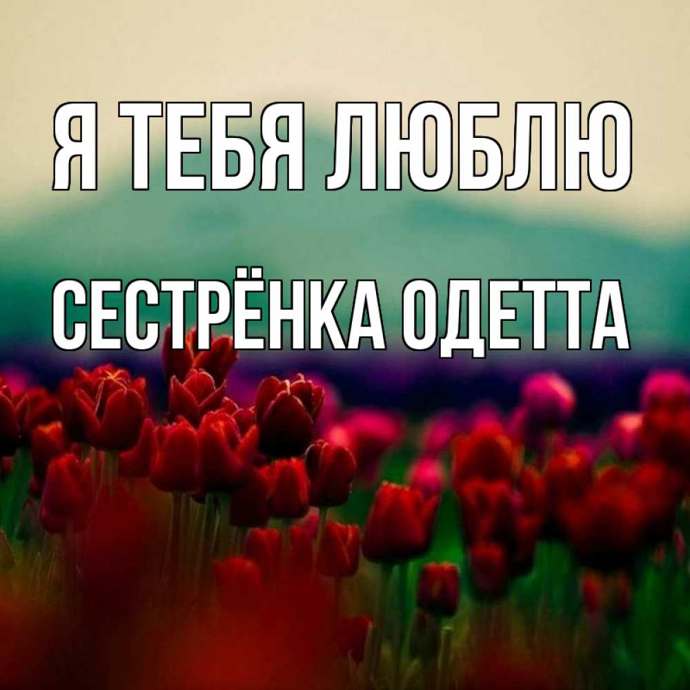 Открытка на каждый день с именем, Сестрёнка-Одетта Я тебя люблю тюльпаны 4 Прикольная открытка с пожеланием онлайн скачать бесплатно 
