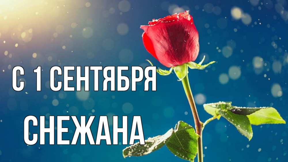 Открытка на каждый день с именем, Снежана С 1 сентября с днем знаний Прикольная открытка с пожеланием онлайн скачать бесплатно 