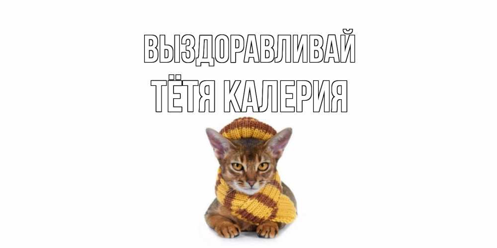 Открытка на каждый день с именем, Тётя-Калерия Выздоравливай родные не болейте Прикольная открытка с пожеланием онлайн скачать бесплатно 