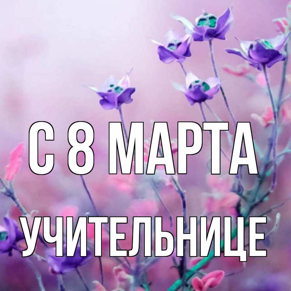 Открытка на каждый день с именем, Учительнице С 8 МАРТА международный женский день 2 Прикольная открытка с пожеланием онлайн скачать бесплатно 