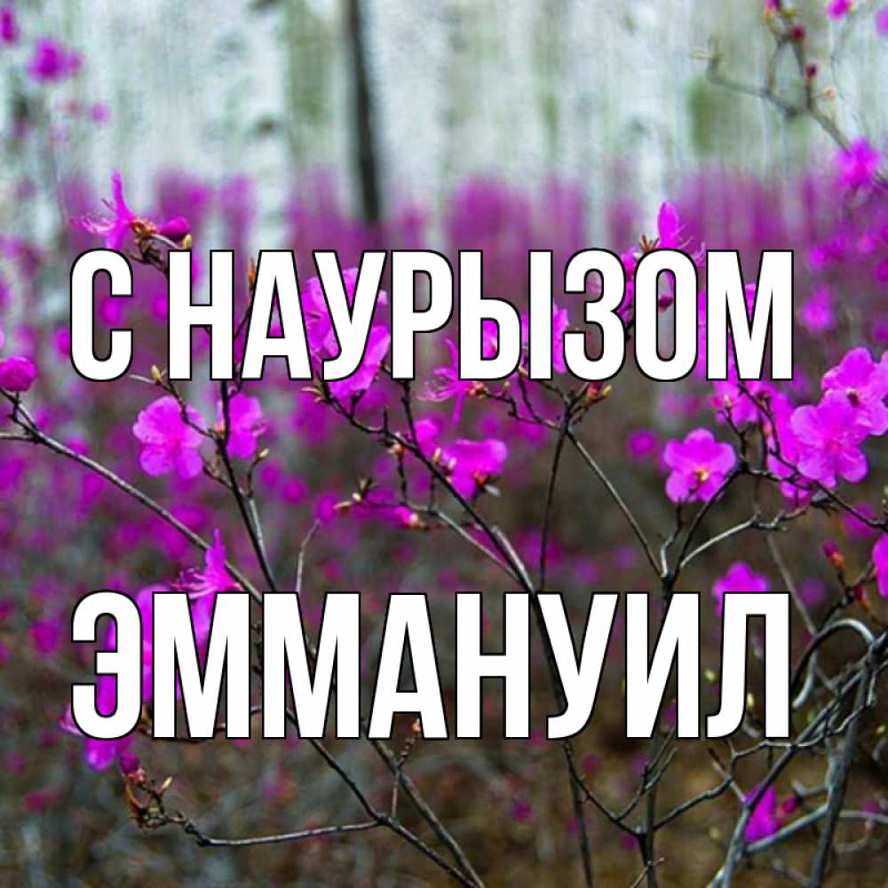 Открытка на каждый день с именем, Эммануил С наурызом дикие цветы Прикольная открытка с пожеланием онлайн скачать бесплатно 