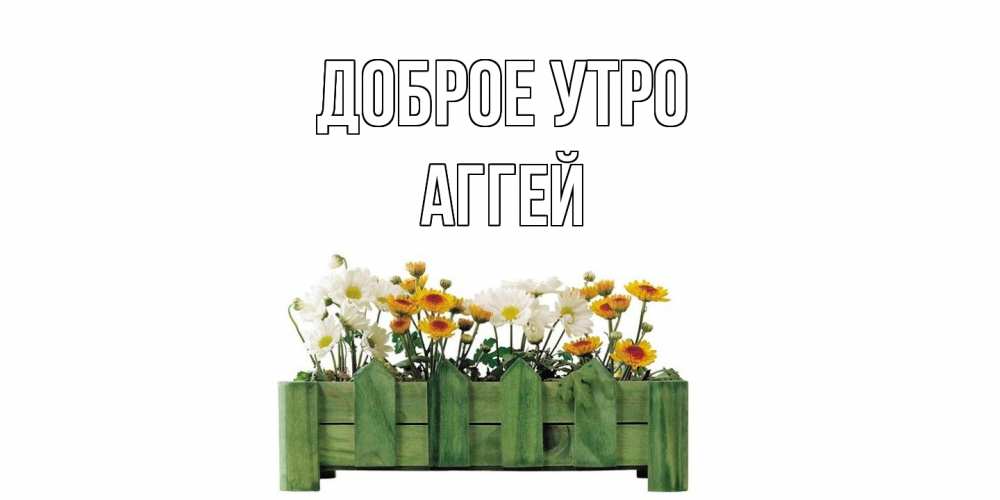Открытка на каждый день с именем, Аггей Доброе утро цветы Прикольная открытка с пожеланием онлайн скачать бесплатно 
