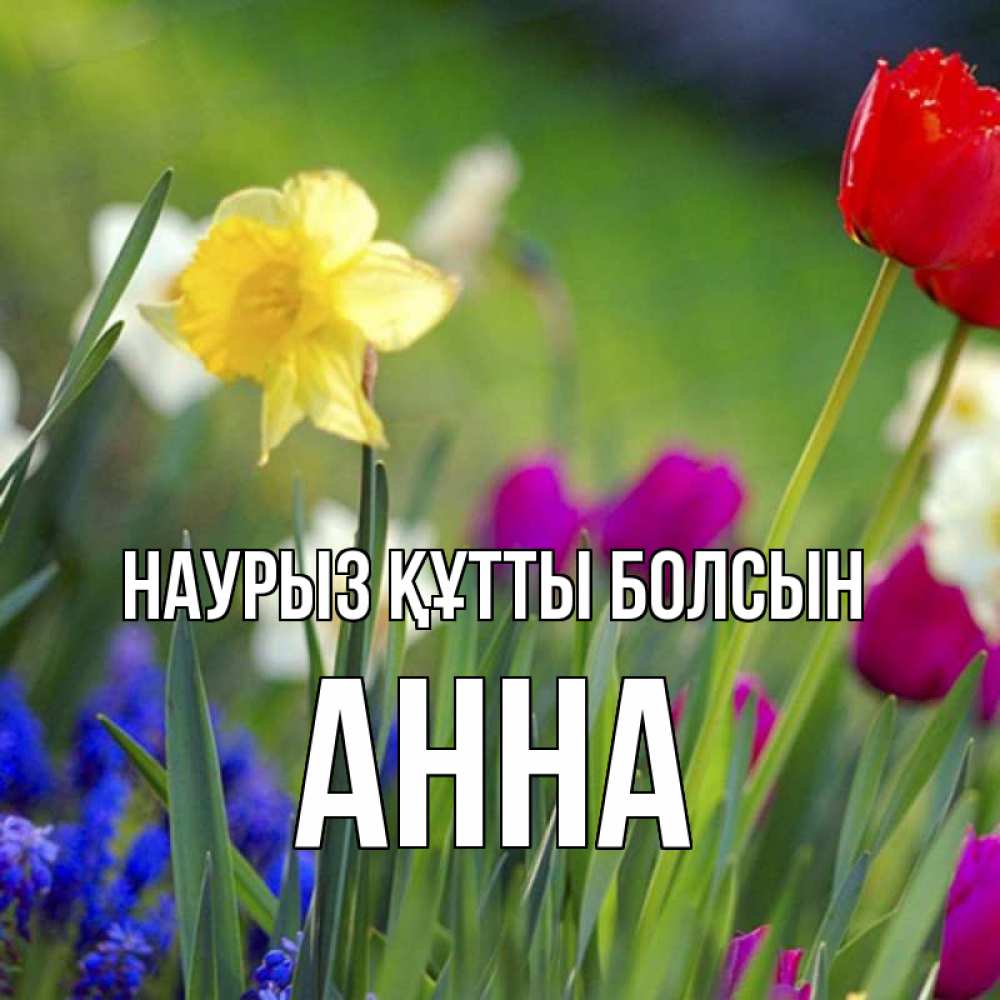 Открытка на каждый день с именем, Анна Наурыз құтты болсын наурыз  3 открытки Прикольная открытка с пожеланием онлайн скачать бесплатно 