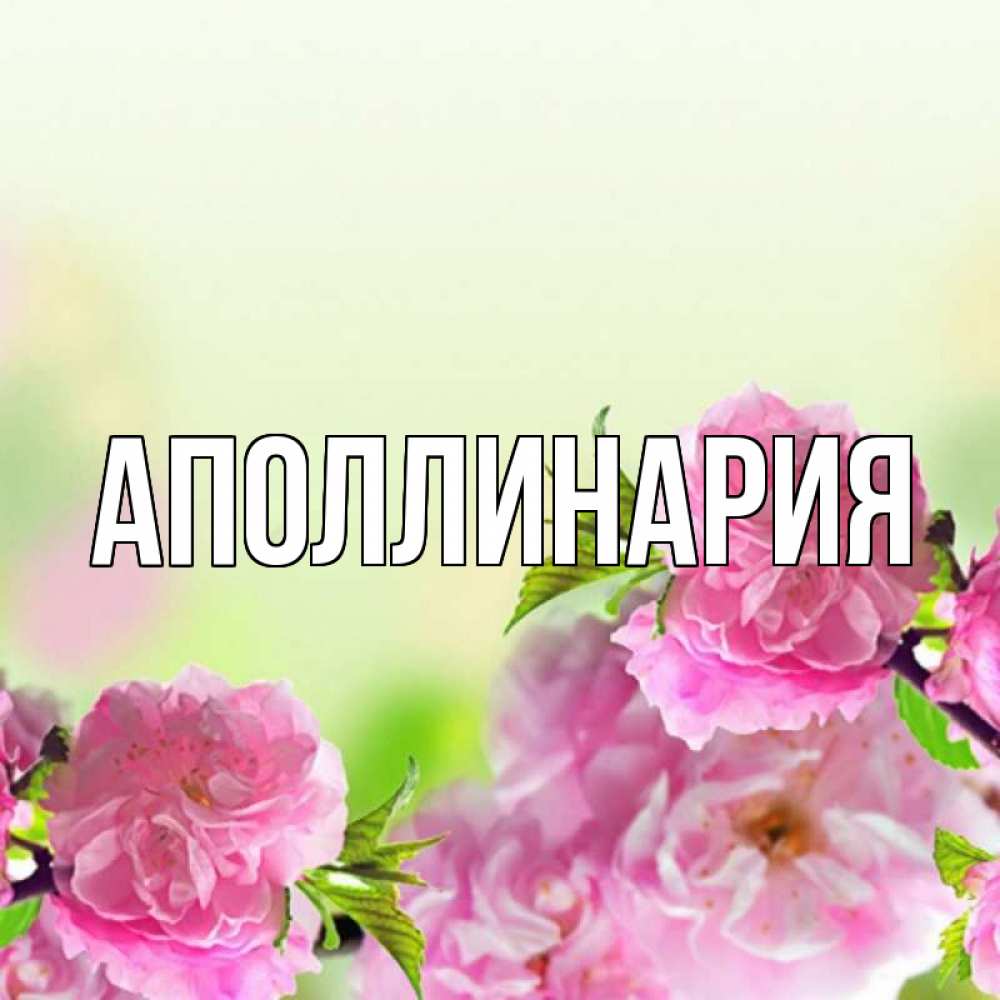 Открытка на каждый день с именем, Аполлинария Главная цветы Прикольная открытка с пожеланием онлайн скачать бесплатно 