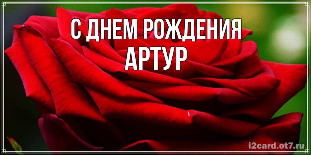 Открытка на каждый день с именем, Артур С днем рождения розочка очень красивая Прикольная открытка с пожеланием онлайн скачать бесплатно 
