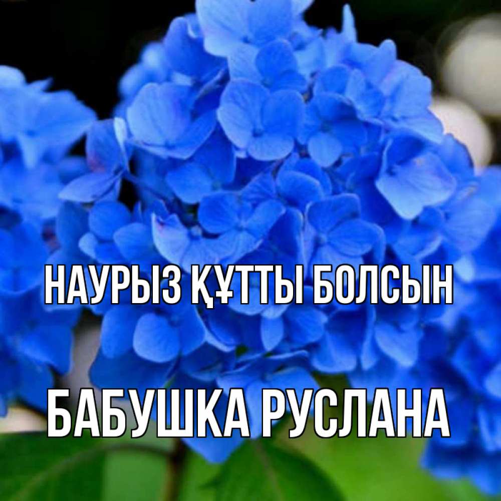 Открытка на каждый день с именем, Бабушка-Руслана Наурыз құтты болсын синие цветы Прикольная открытка с пожеланием онлайн скачать бесплатно 