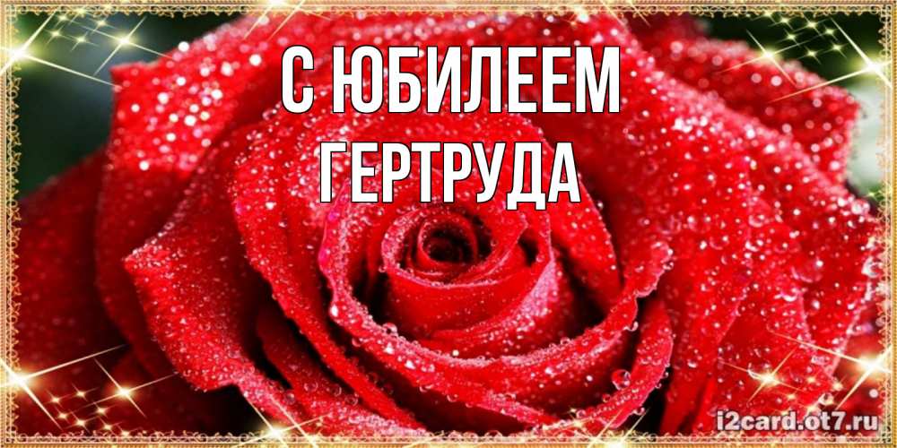Открытка на каждый день с именем, Гертруда С юбилеем роса и роза. открытка с красивой розой Прикольная открытка с пожеланием онлайн скачать бесплатно 