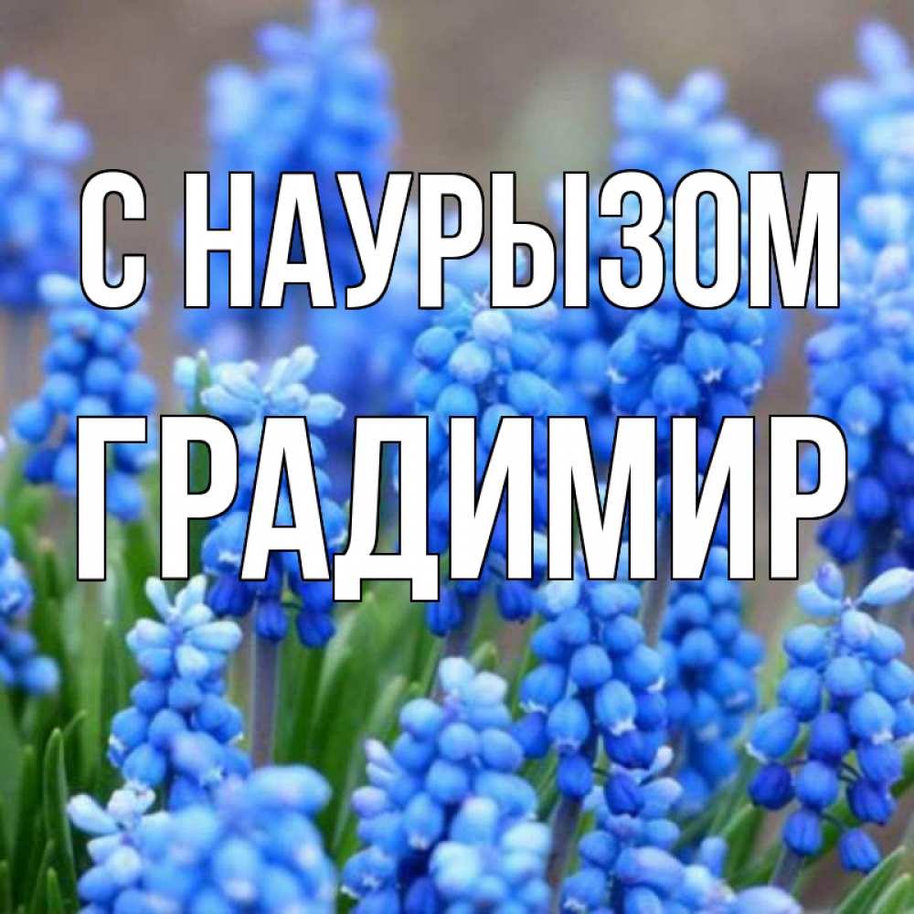 Открытка на каждый день с именем, Градимир С наурызом Поздравительная открытка для женщин с цветами на праздничную дату Прикольная открытка с пожеланием онлайн скачать бесплатно 