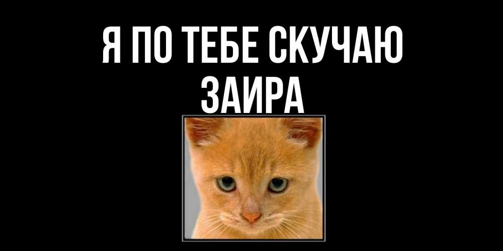 Открытка на каждый день с именем, Заира Я по тебе скучаю открытки рыжий котенок скучает по тебе Прикольная открытка с пожеланием онлайн скачать бесплатно 