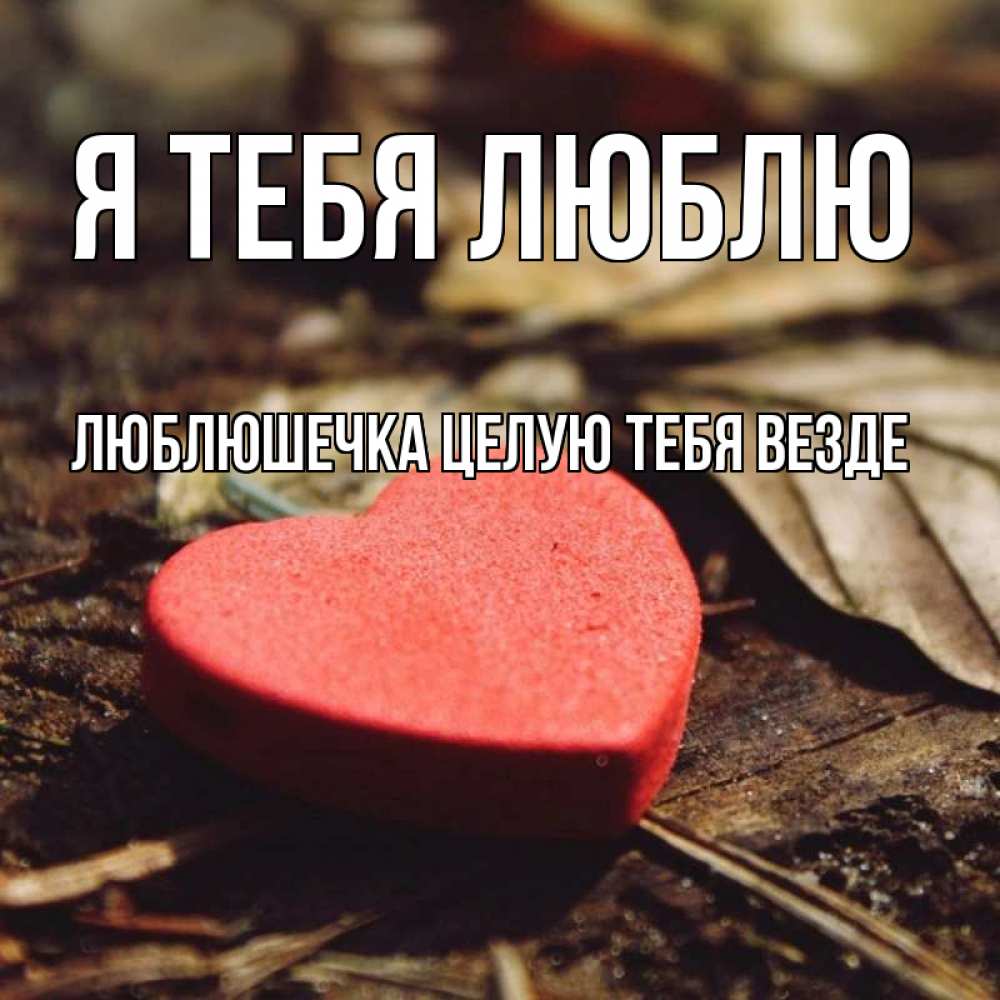 Открытка на каждый день с именем, Люблюшечка-целую-тебя-везде Я тебя люблю листья деревье 4 Прикольная открытка с пожеланием онлайн скачать бесплатно 