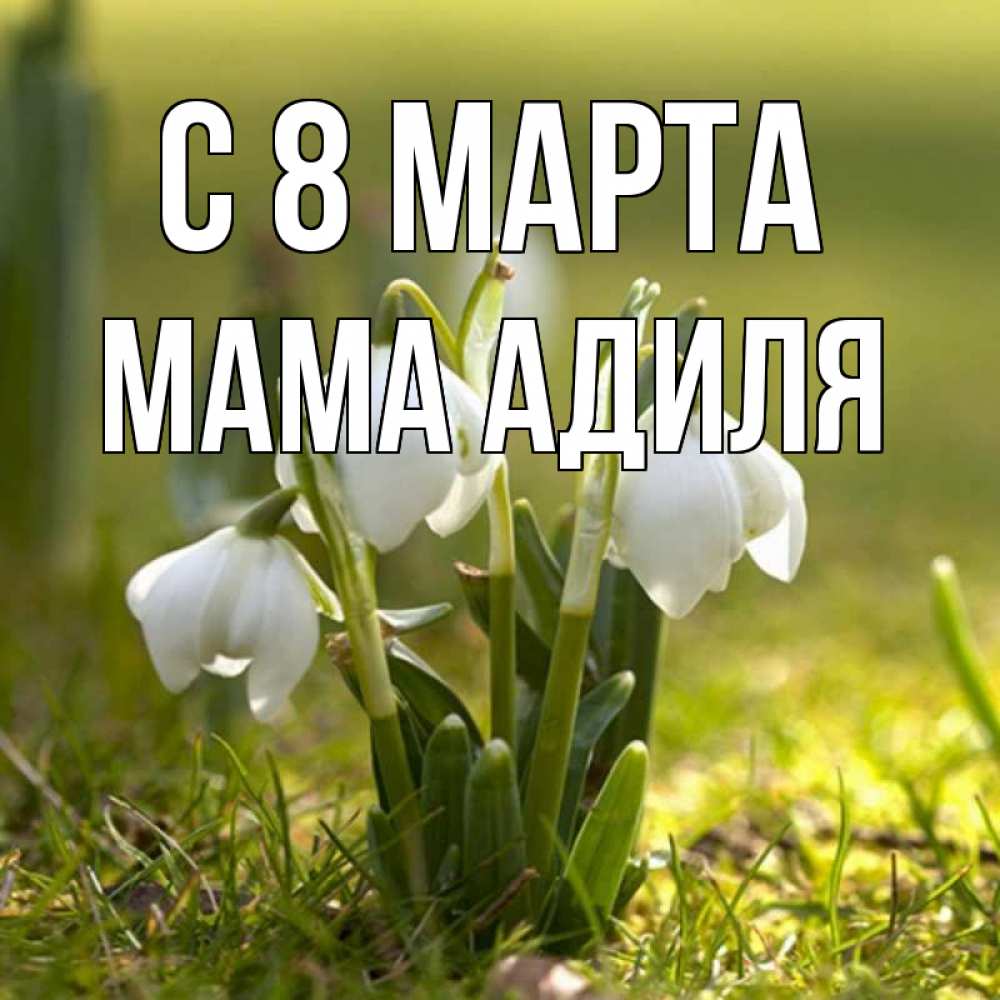Открытка на каждый день с именем, Мама-Адиля С 8 марта ранние цветы 2 Прикольная открытка с пожеланием онлайн скачать бесплатно 
