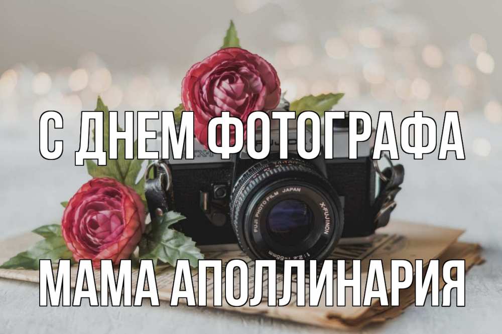 Открытка на каждый день с именем, Мама-Аполлинария С днем фотографа с днем фотографа Прикольная открытка с пожеланием онлайн скачать бесплатно 