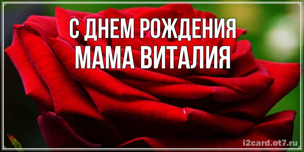 Открытка на каждый день с именем, Мама-Виталия С днем рождения розочка очень красивая Прикольная открытка с пожеланием онлайн скачать бесплатно 