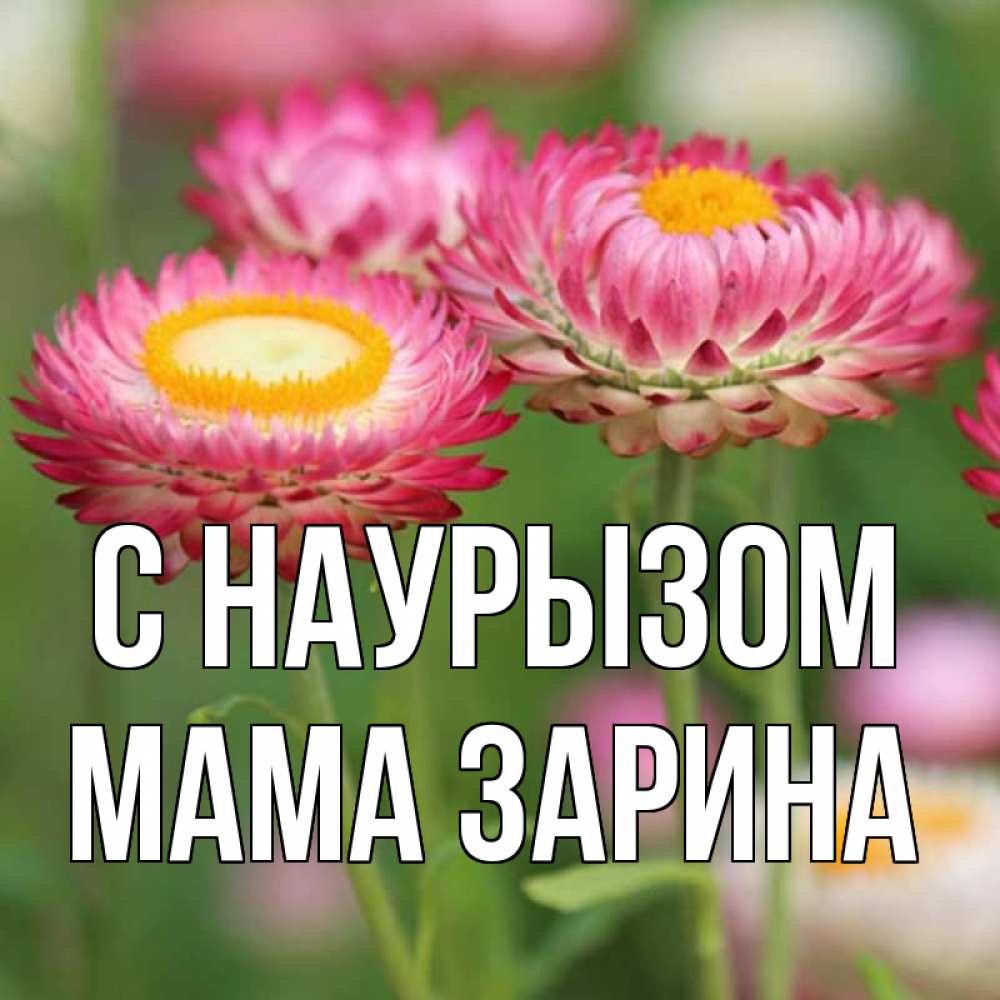 Открытка на каждый день с именем, Мама-Зарина С наурызом подарок на международный женский день Прикольная открытка с пожеланием онлайн скачать бесплатно 