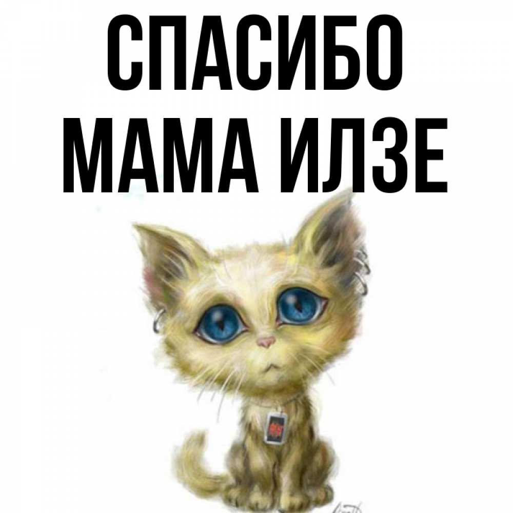 Открытка на каждый день с именем, Мама-Илзе Спасибо рисованный кот благодарит вас Прикольная открытка с пожеланием онлайн скачать бесплатно 