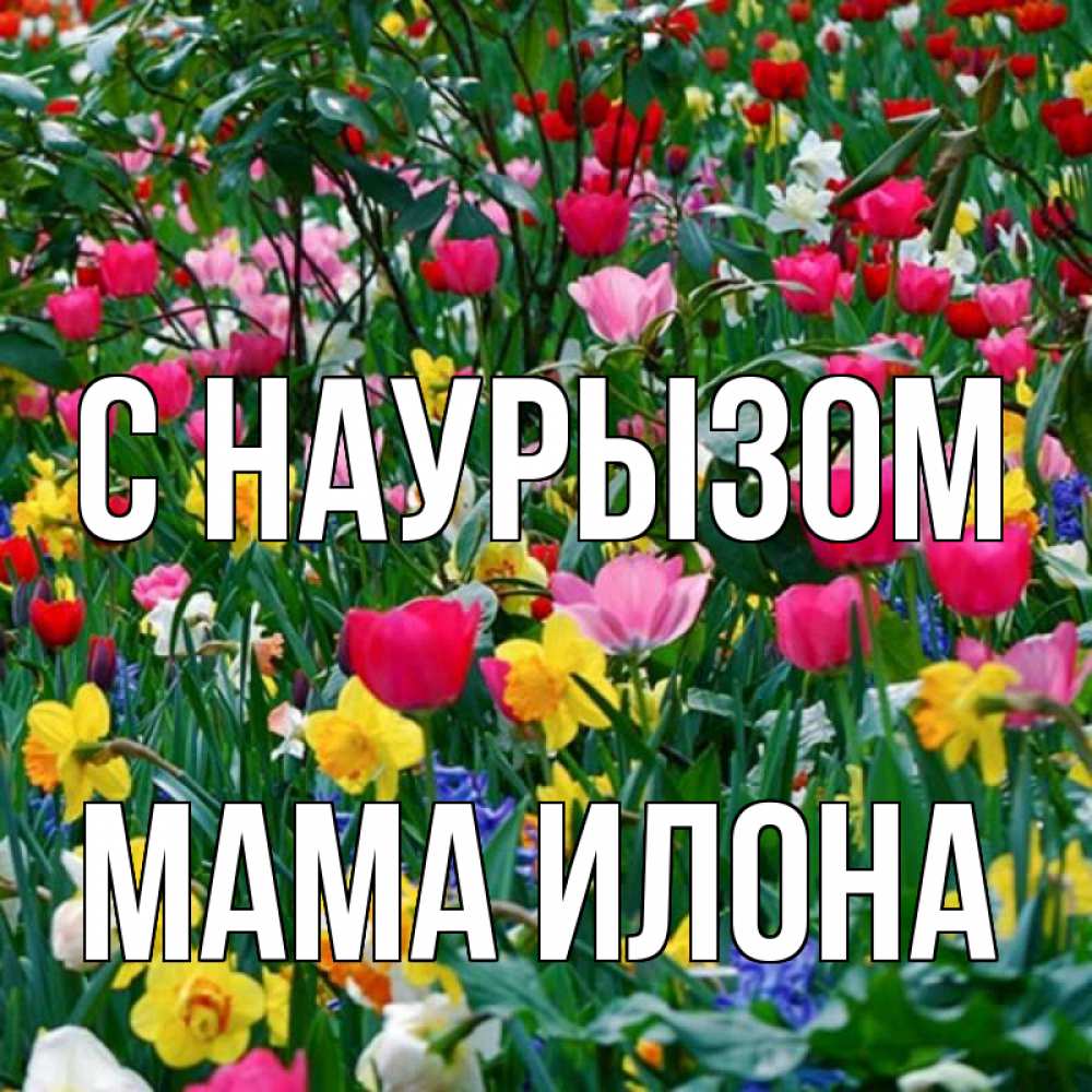 Открытка на каждый день с именем, Мама-Илона С наурызом с наурызом праздником весны поздравления для женщины Прикольная открытка с пожеланием онлайн скачать бесплатно 
