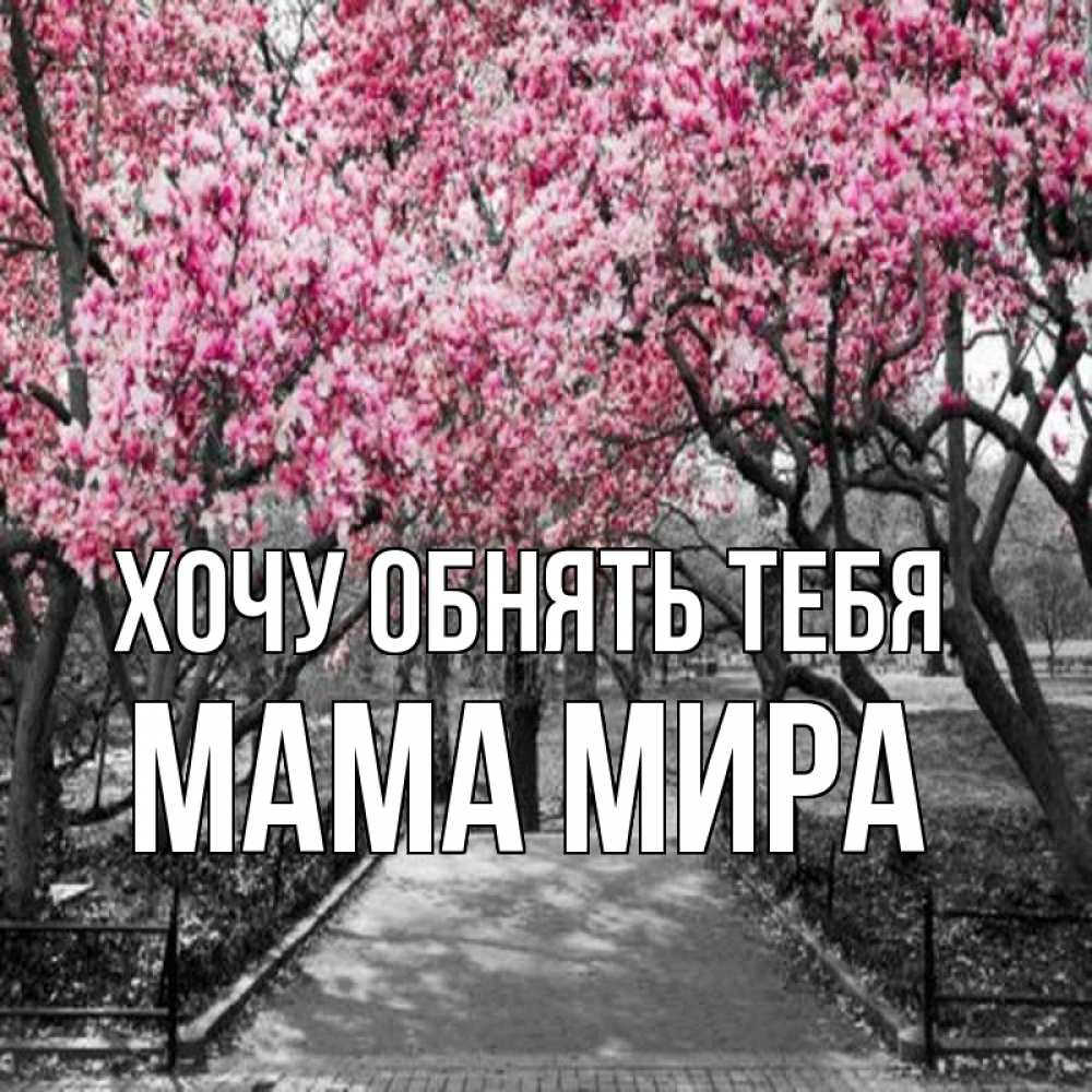 Открытка на каждый день с именем, Мама-Мира Хочу обнять тебя обработанное фото Прикольная открытка с пожеланием онлайн скачать бесплатно 