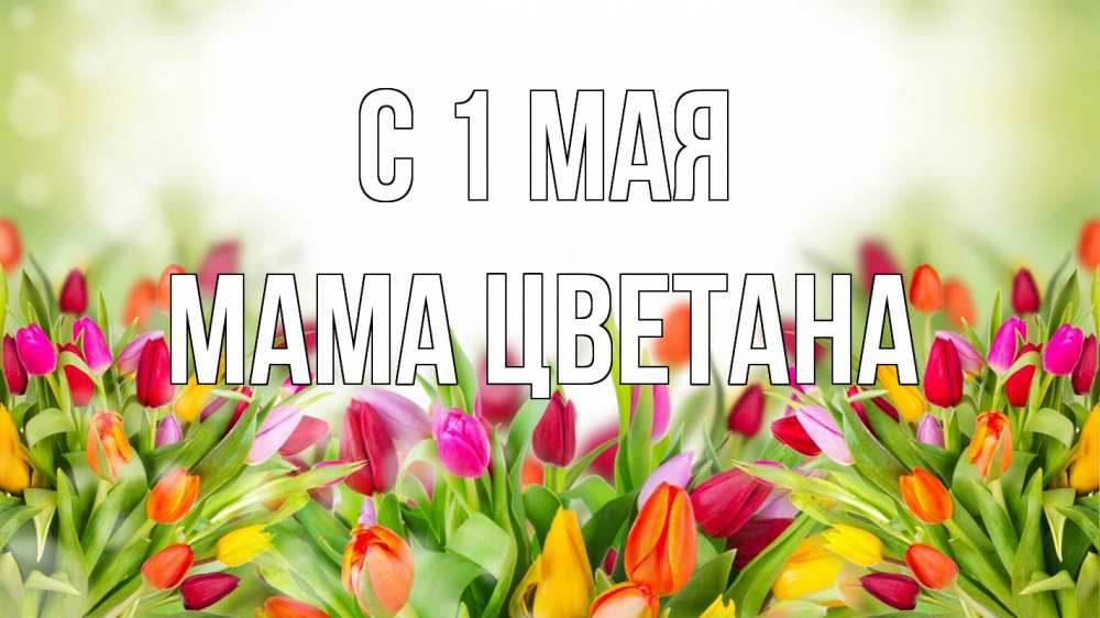 Открытка на каждый день с именем, Мама-Цветана С 1 мая С 1 мая Прикольная открытка с пожеланием онлайн скачать бесплатно 