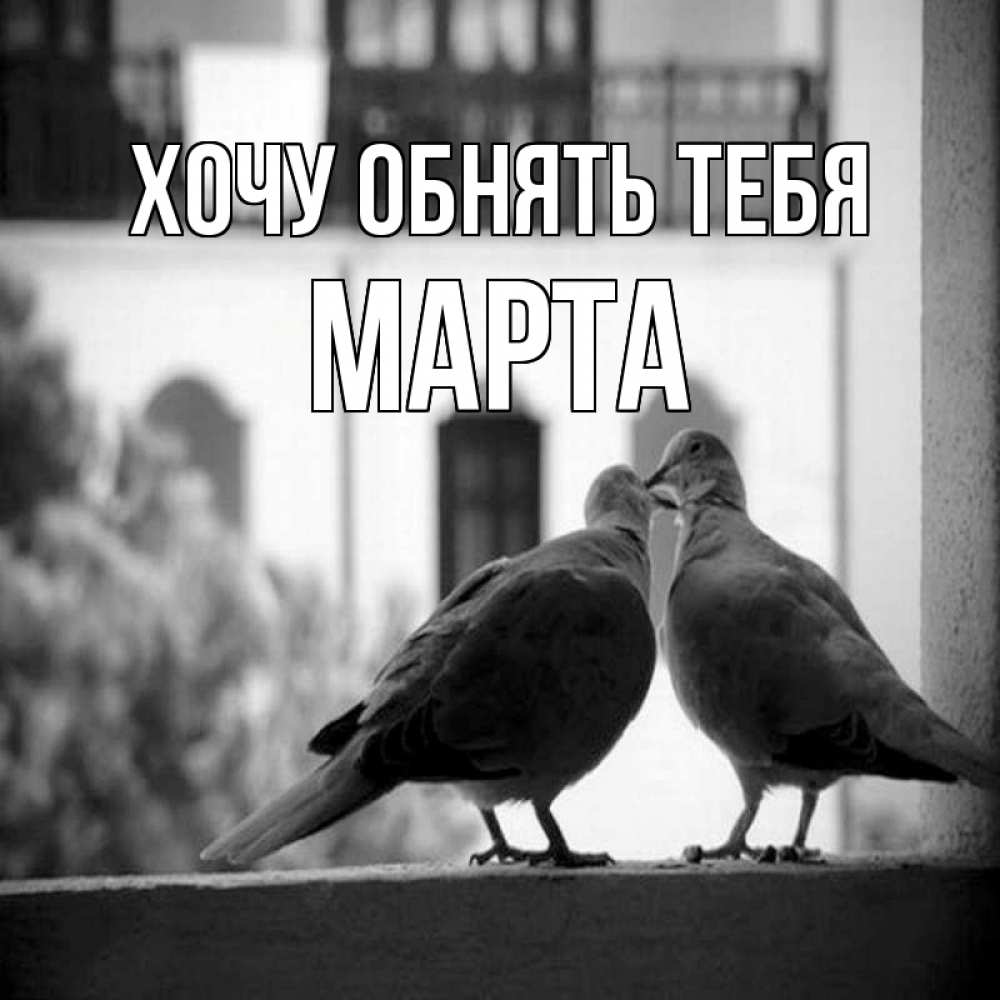 Открытка на каждый день с именем, Марта Хочу обнять тебя птицы на подоконнике Прикольная открытка с пожеланием онлайн скачать бесплатно 